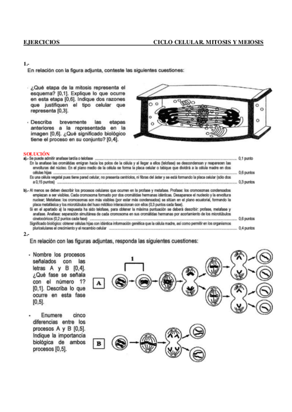 Miniatura del documento Ejercicios-Division-Celular-Con-Soluciones.pdf
