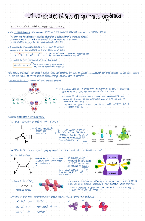 Miniatura del documento U1.pdf