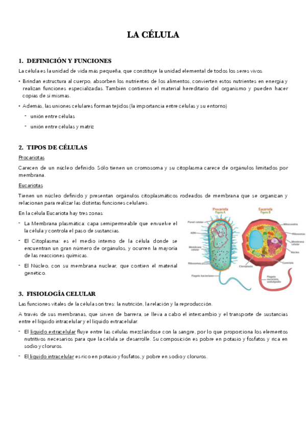 Miniatura del documento CITOLOGIA.pdf