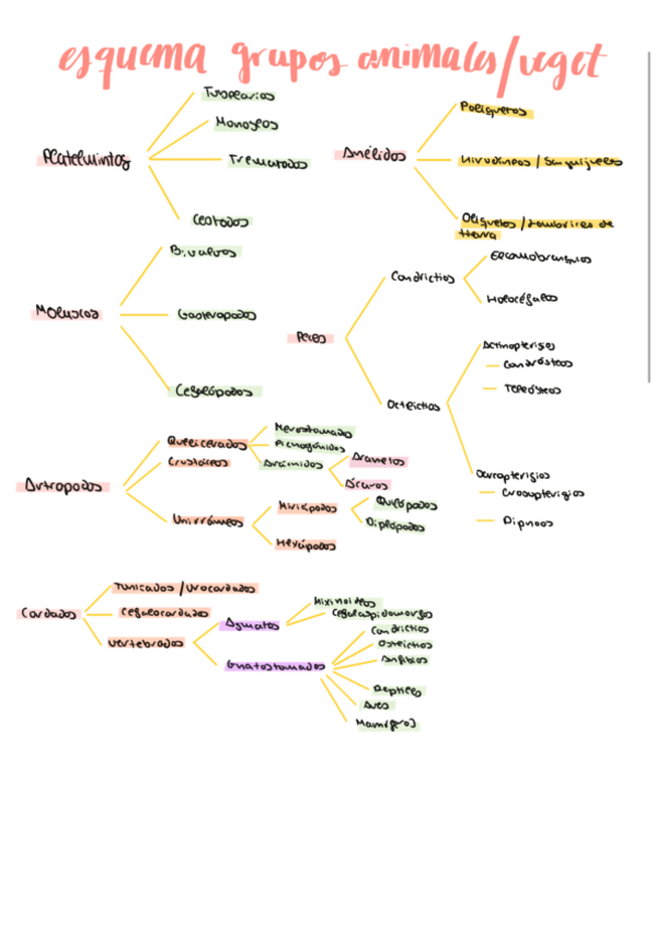 Miniatura del documento Taxonomia.pdf