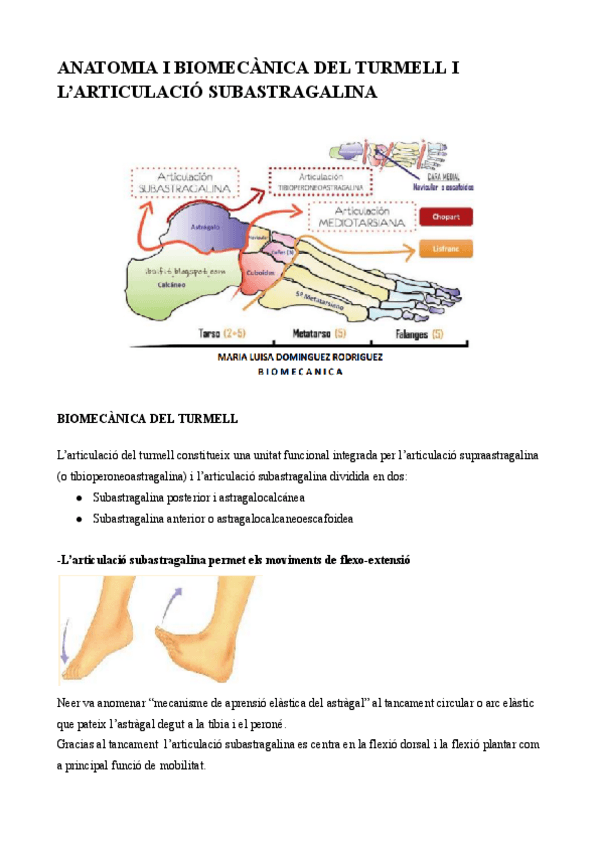 Miniatura del documento APUNTS-BIOMECANICA.pdf