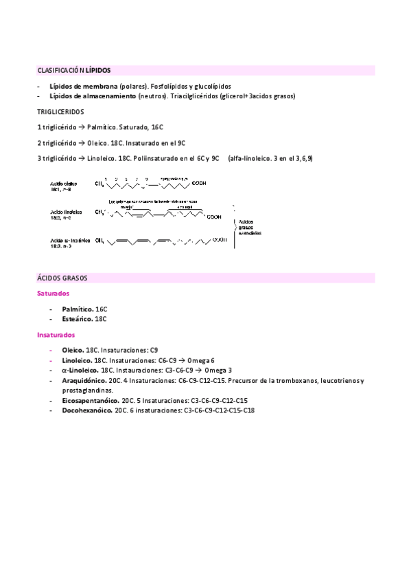Miniatura del documento Resumen-metabol.-lipidos-y-proteinas.pdf