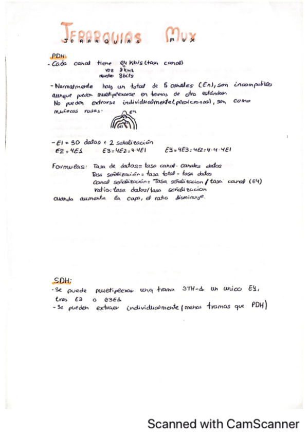 Miniatura del documento resumen.pdf