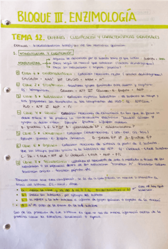 Miniatura del documento Bloque-III.-Enzimologia.pdf