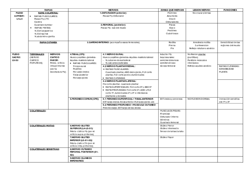 Miniatura del documento TABLA-NERVIOS-MMII.pdf
