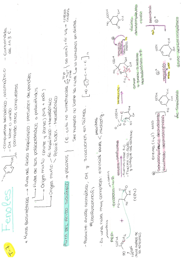 Miniatura del documento Escaneados-doc.-universidad-1-8.pdf