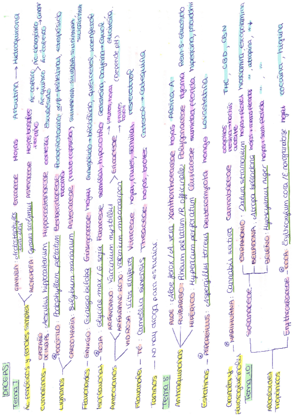 Miniatura del documento Escaneados-doc.-universidad-9-10.pdf