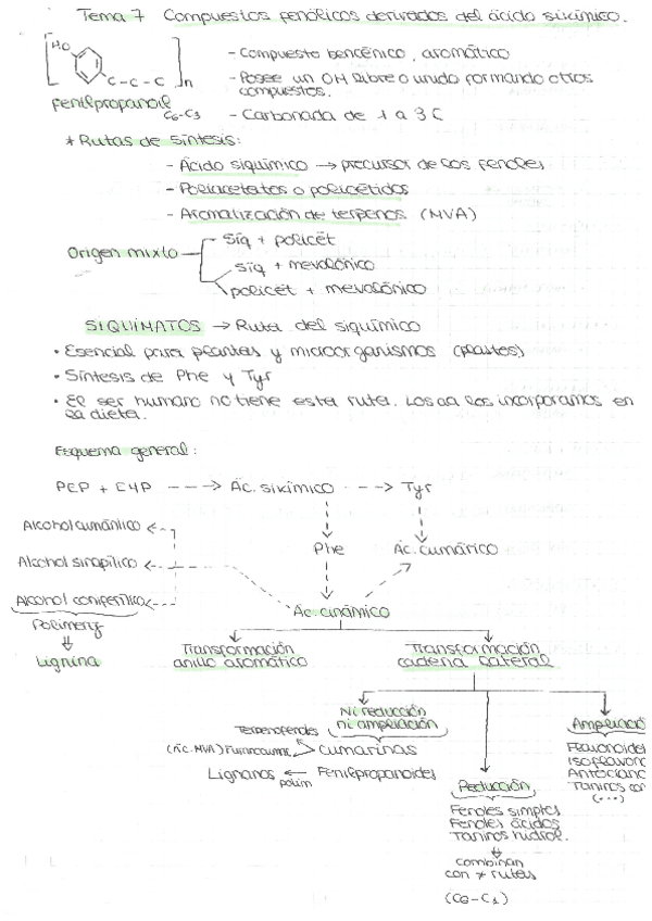 Miniatura del documento Escaneados-doc.-universidad-11-18.pdf