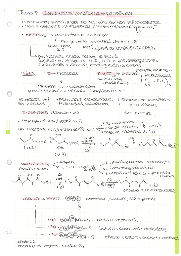 Miniatura del documento Escaneados-doc.-universidad-19-24.pdf
