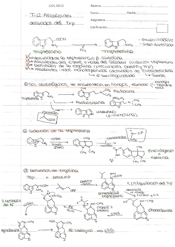 Miniatura del documento Escaneados-doc.-universidad-33-34.pdf
