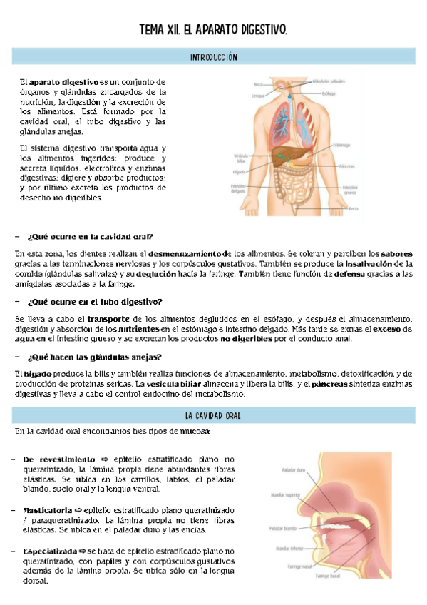 Miniatura del documento histopatologia-T12.pdf