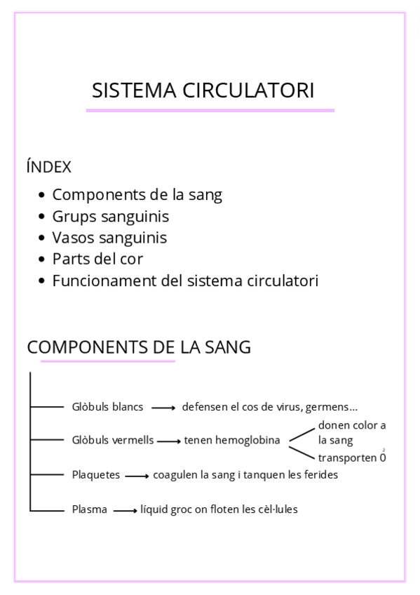 Miniatura del documento SISTEMA-CIRCULATORI.pdf