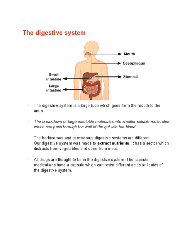 Miniatura del documento The-digestive-system-summary.pdf