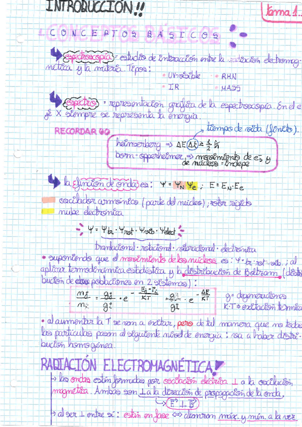 Miniatura del documento ApuntesEjerciciosExamenes.pdf