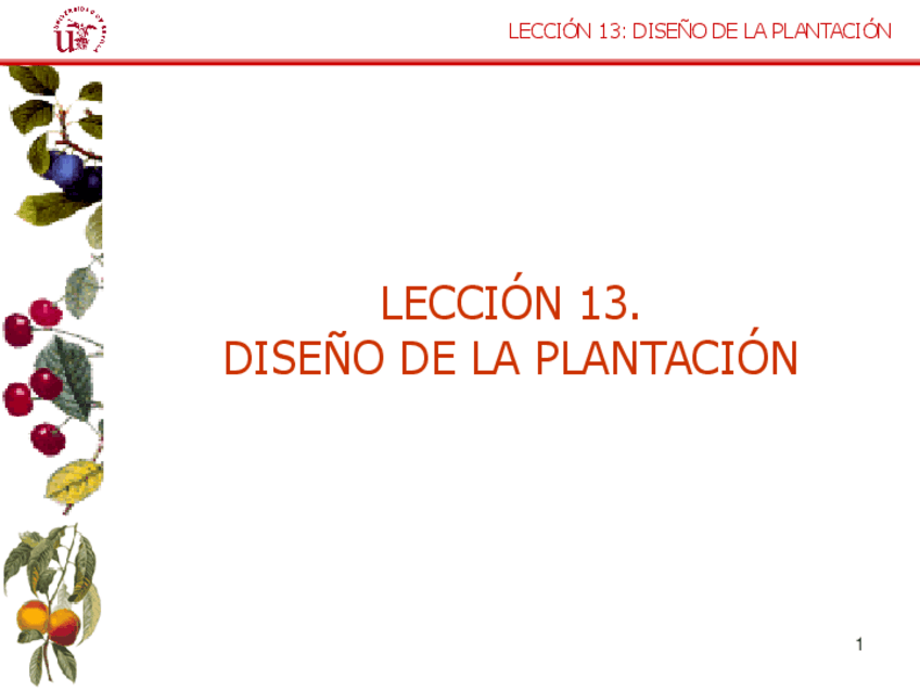 Miniatura del documento Leccion-13.-Diseno-de-la-plantacion.pdf