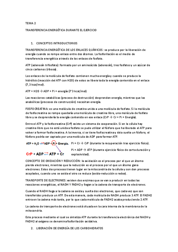 Miniatura del documento TEMA-2.-TRANSFERENCIA-ENERGETICA.pdf