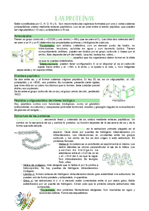 Miniatura del documento Las-proteinas.pdf