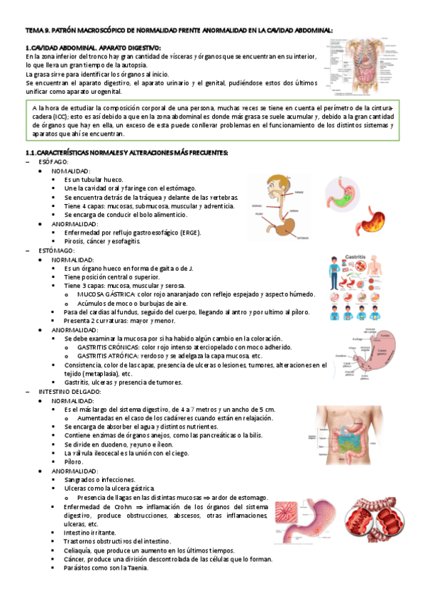 Miniatura del documento TEMA-9-NECRO.pdf