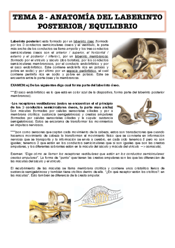 Miniatura del documento tema-2-..pdf