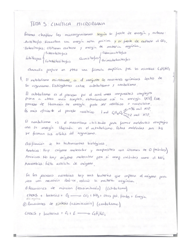 Miniatura del documento Teoria-bloque-III.pdf