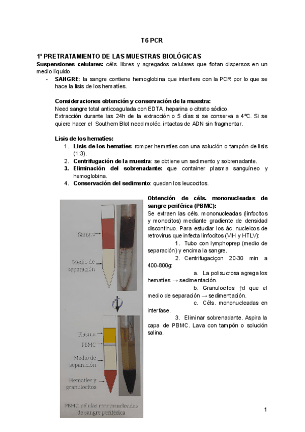 Miniatura del documento T3 EXTRACCIÓN Y PURIFICACIÓN DE ÁCIDOS NUCLEICOS.pdf