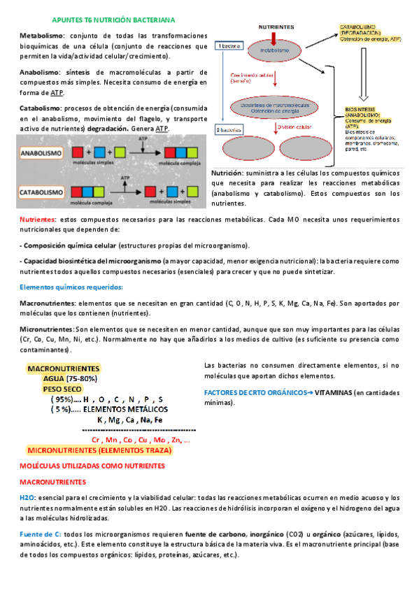 Miniatura del documento APUNTES-T6.pdf