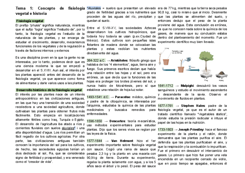 Miniatura del documento Resum-Tema-1-Concepto-de-fisiologia-vegetal-e-historia-Nutricio-i-Metabolisme-Vegetal-1r-parcial.pdf