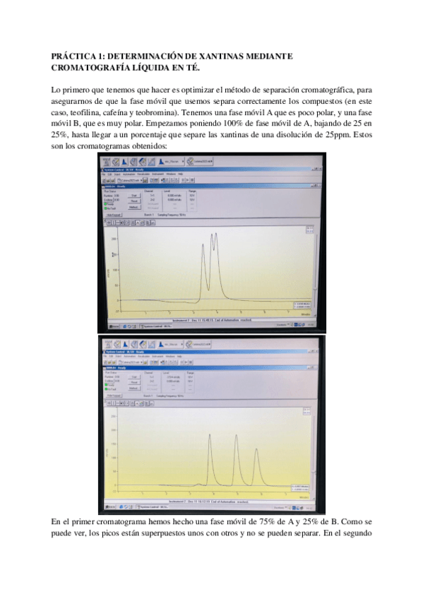 Miniatura del documento Informes-de-practicas-TAS.pdf