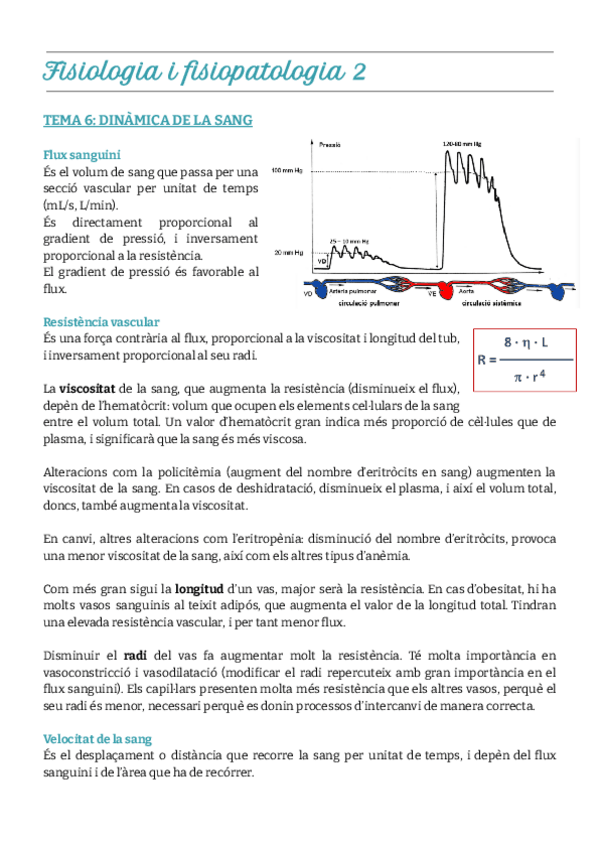 Miniatura del documento Tema-6.-Dinàmica-de-la-sang.pdf
