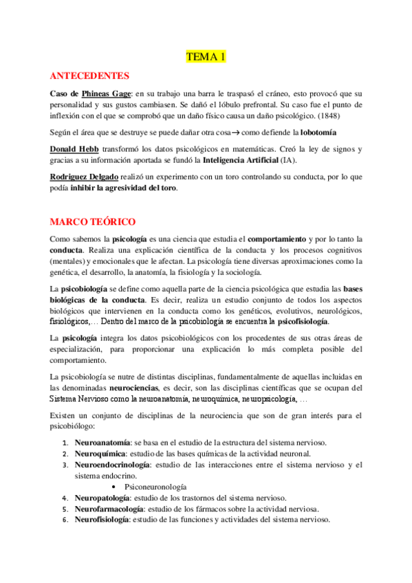 Miniatura del documento TEMA-1.pdf