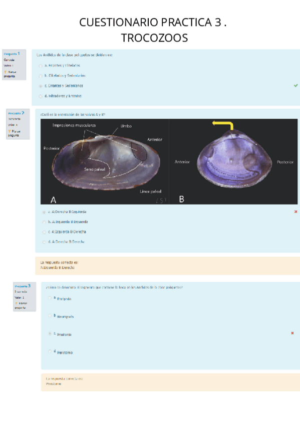 Miniatura del documento CUESTIONARIO-PRACTICA-3.TROCOZOOS.pdf