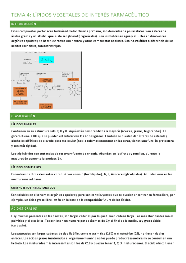 Miniatura del documento tema-4-lipidos-vegetales-de-interes-farmaceutico.pdf