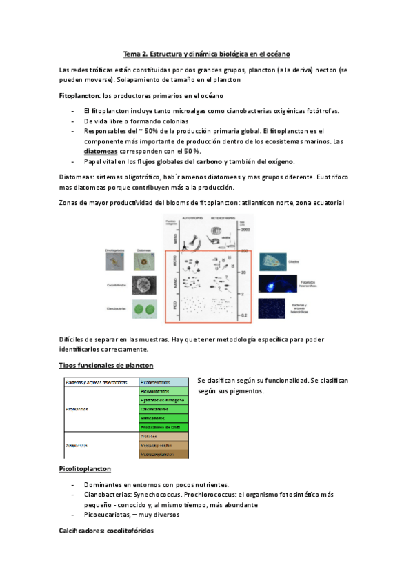 Miniatura del documento Tema-2.-Estructura-y-dinamicas-biologicas-en-el-oceano.pdf