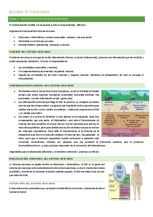 Miniatura del documento FISIOLOGIA-TERCER-PARCIAL.pdf