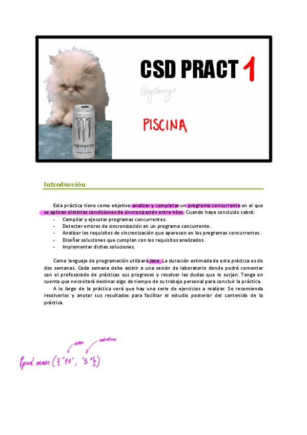Miniatura del documento PL01-CSD-Piscina.pdf
