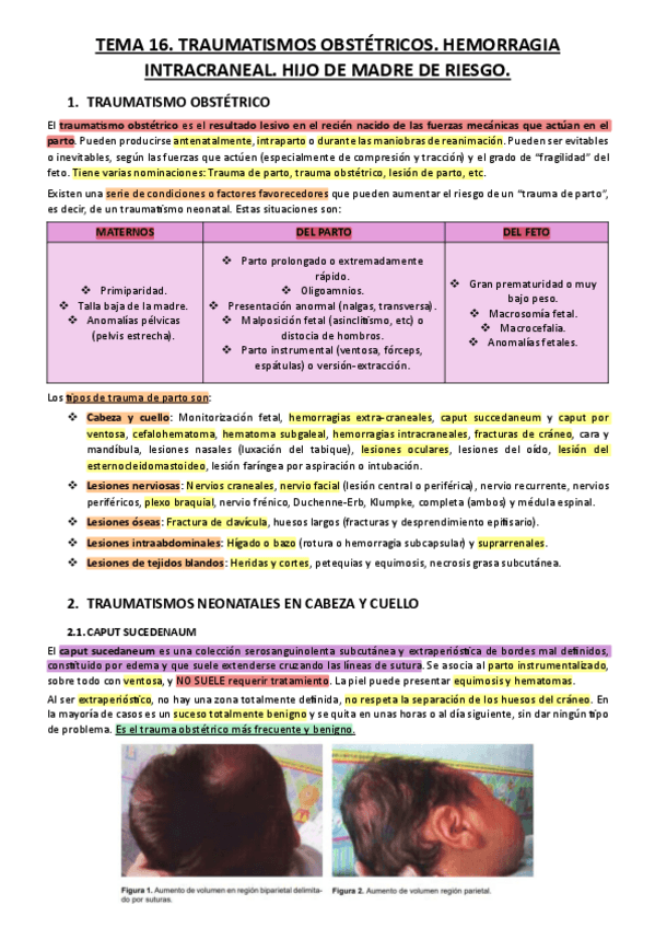 Miniatura del documento Tema-16-PE-Traumatismos-obstetricos.pdf