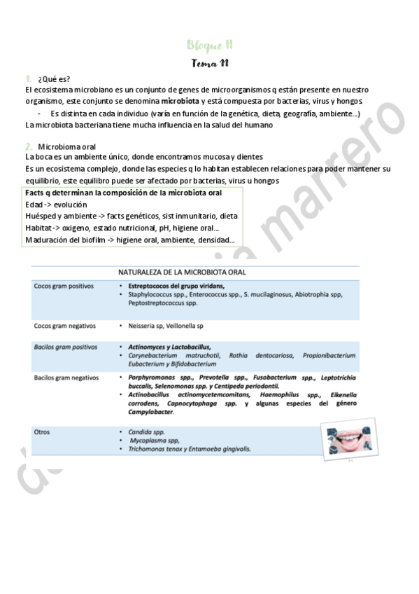 Miniatura del documento bloque-II-tema-11.pdf