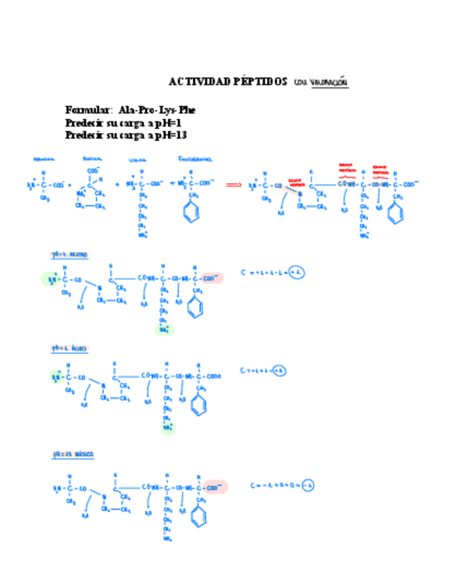 Miniatura del documento ACTIVIDAD-PEPTIDO Y-VALORACION.pdf