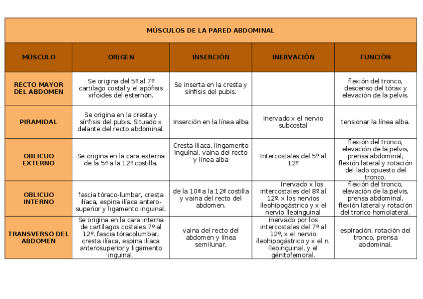Miniatura del documento MUSCULOS-DE-LA-PARED-ABDOMINAL-esq.docx