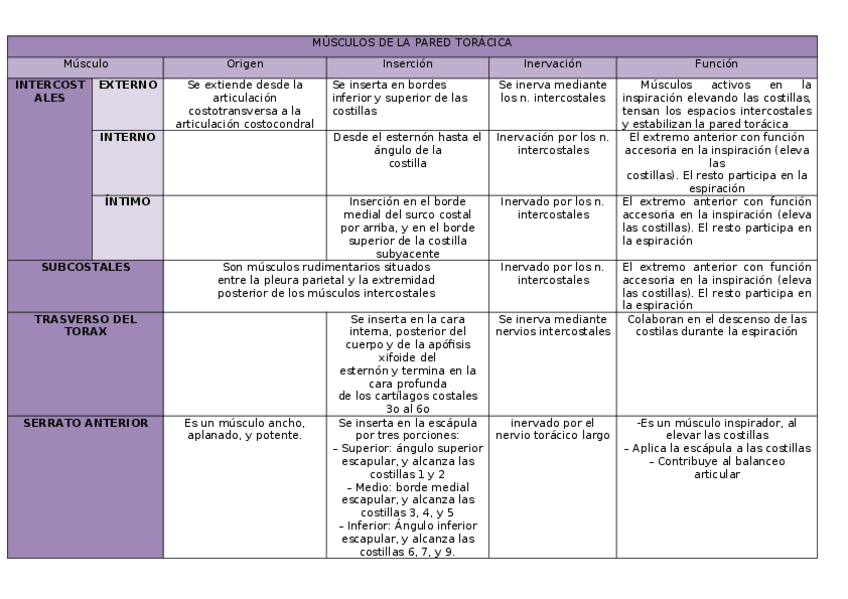 Miniatura del documento MUSCULOS-DE-LA-PARED-TORACICA-esq.docx