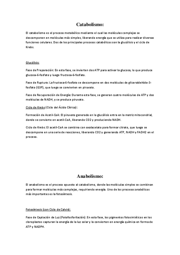Miniatura del documento Catabolismo-y-anabolismo-resumen.pdf