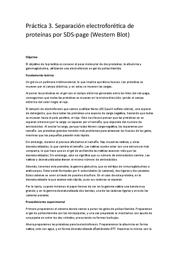 Miniatura del documento Practica-III.pdf