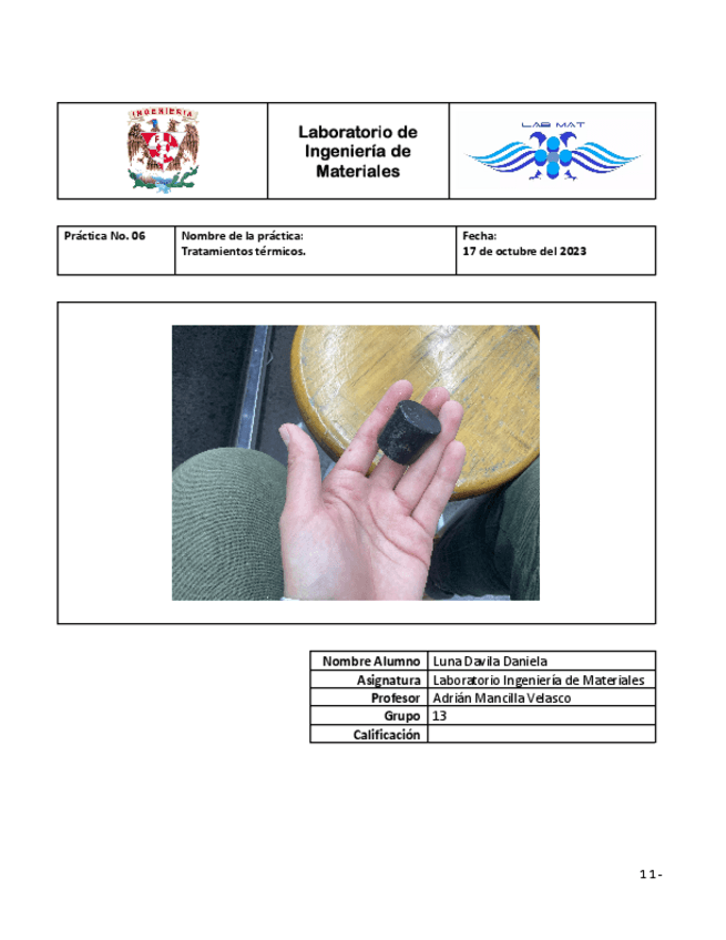 Miniatura del documento Tratamientos.termicos-LDD.pdf