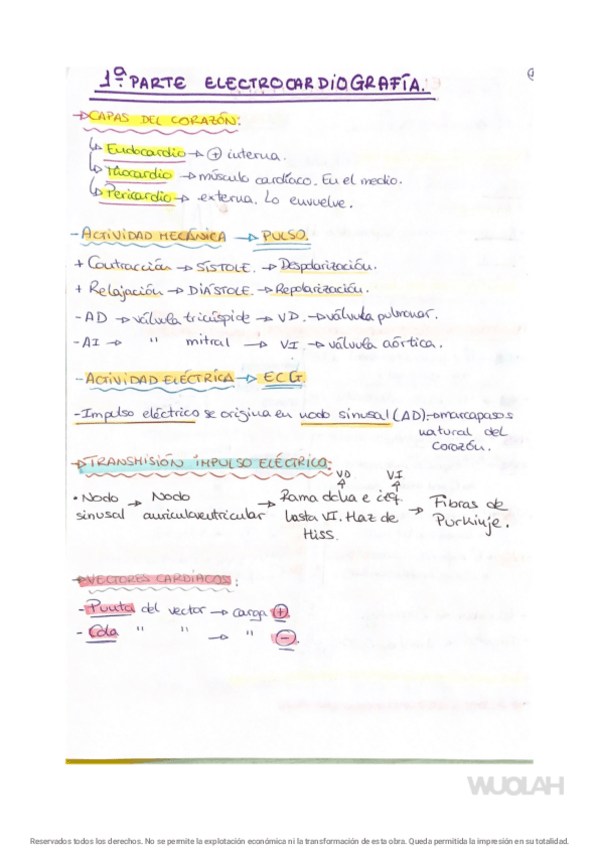Miniatura del documento ECG - T.1 - T.11.pdf