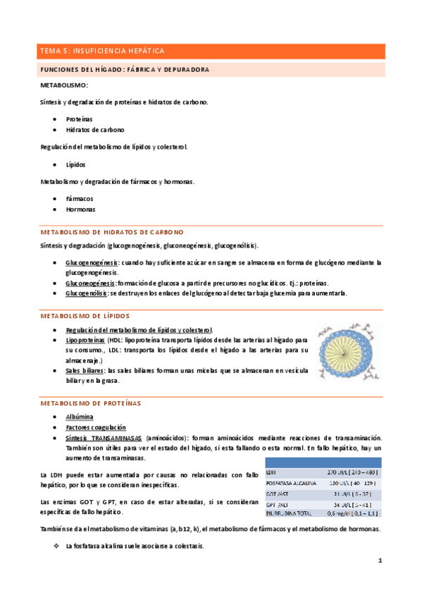 Miniatura del documento Tema-5.pdf