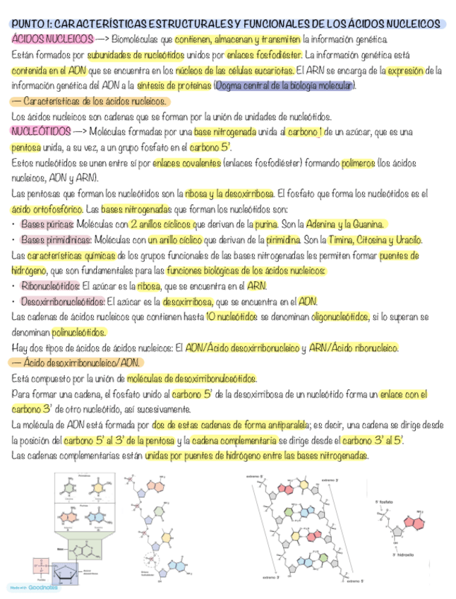 Miniatura del documento BMC-TEMA-4.pdf