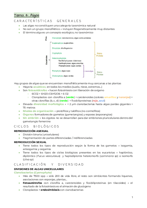 Miniatura del documento Tema-4.-Algas.pdf