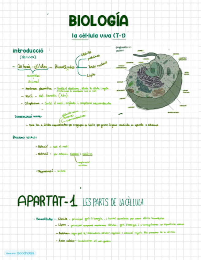 Miniatura del documento apuntes-biologia-la-celula-catalan.pdf