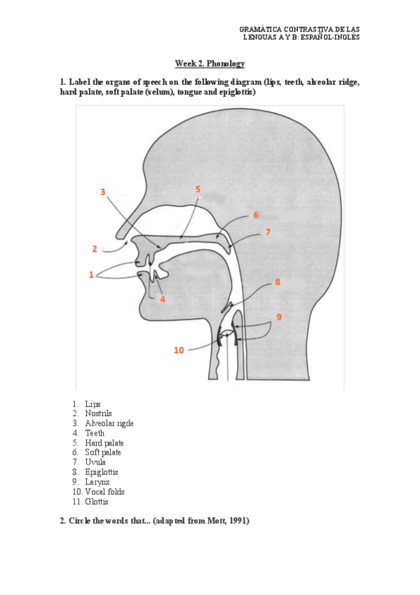 Miniatura del documento EPD-Week-2.-Phonology.pdf