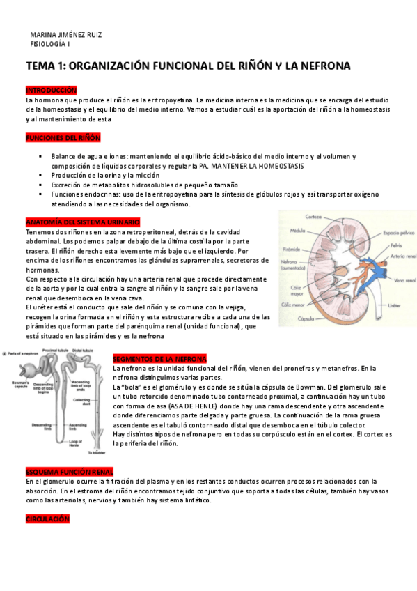 Miniatura del documento APUNTES-FISIO-II-RENAL-2024.pdf